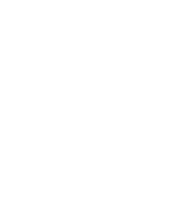 FM13