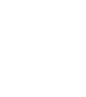FM13
